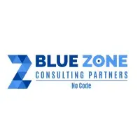 Blue Zone Consulting Partners Image